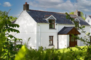 Cosy Cottage in Wild Countryside by Llys-y-Fran